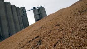 В России началась аккредитация участников зерновых интервенций